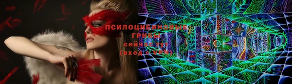 apvp Верхний Тагил